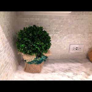 Meet your Posher, Ray